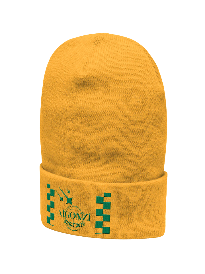 Aigonzi global Embroidered Beanie product image (2)