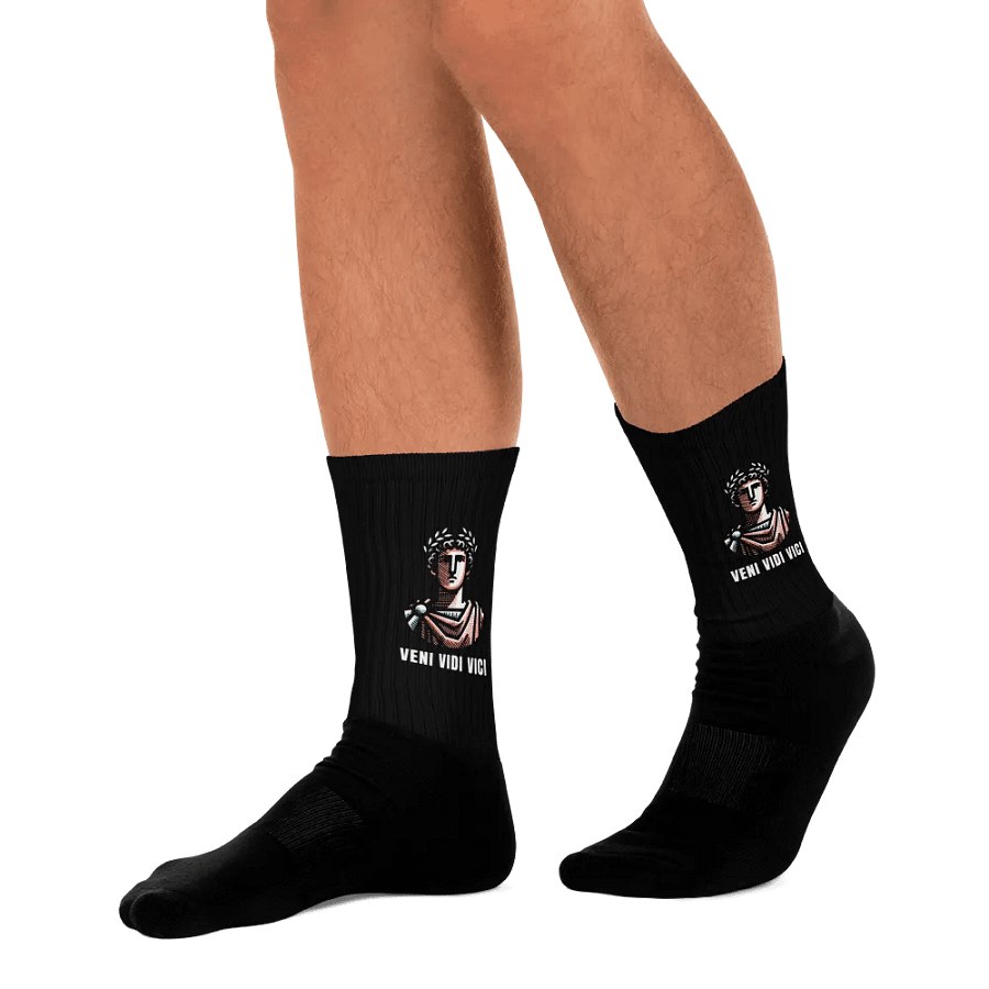 Veni Vidi Vici Socks product image (12)