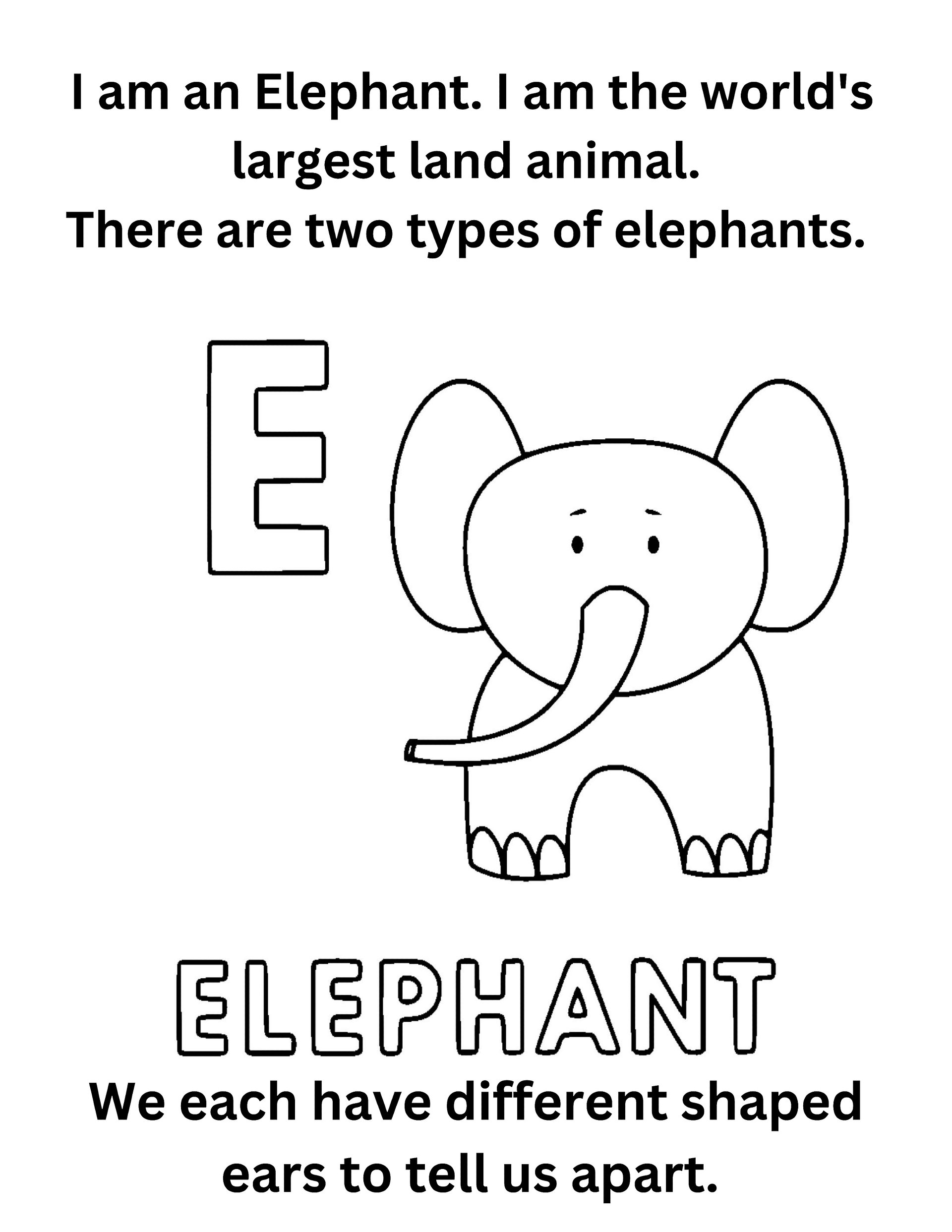"Did You Know" Animal Facts Alphabet Coloring Pages product image (6)