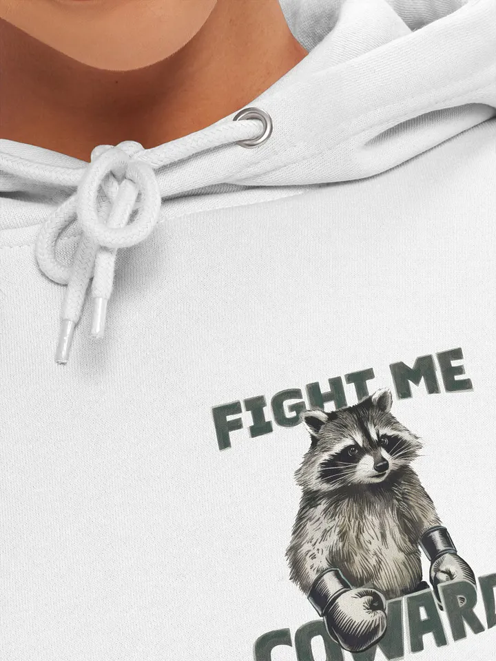 Raccoon Boxing Champion Hoodie product image (2)