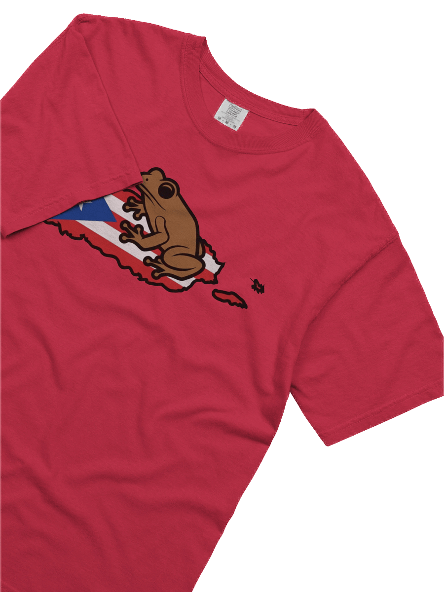 Puerto Rican Flag & Coqui T-Shirt product image (64)