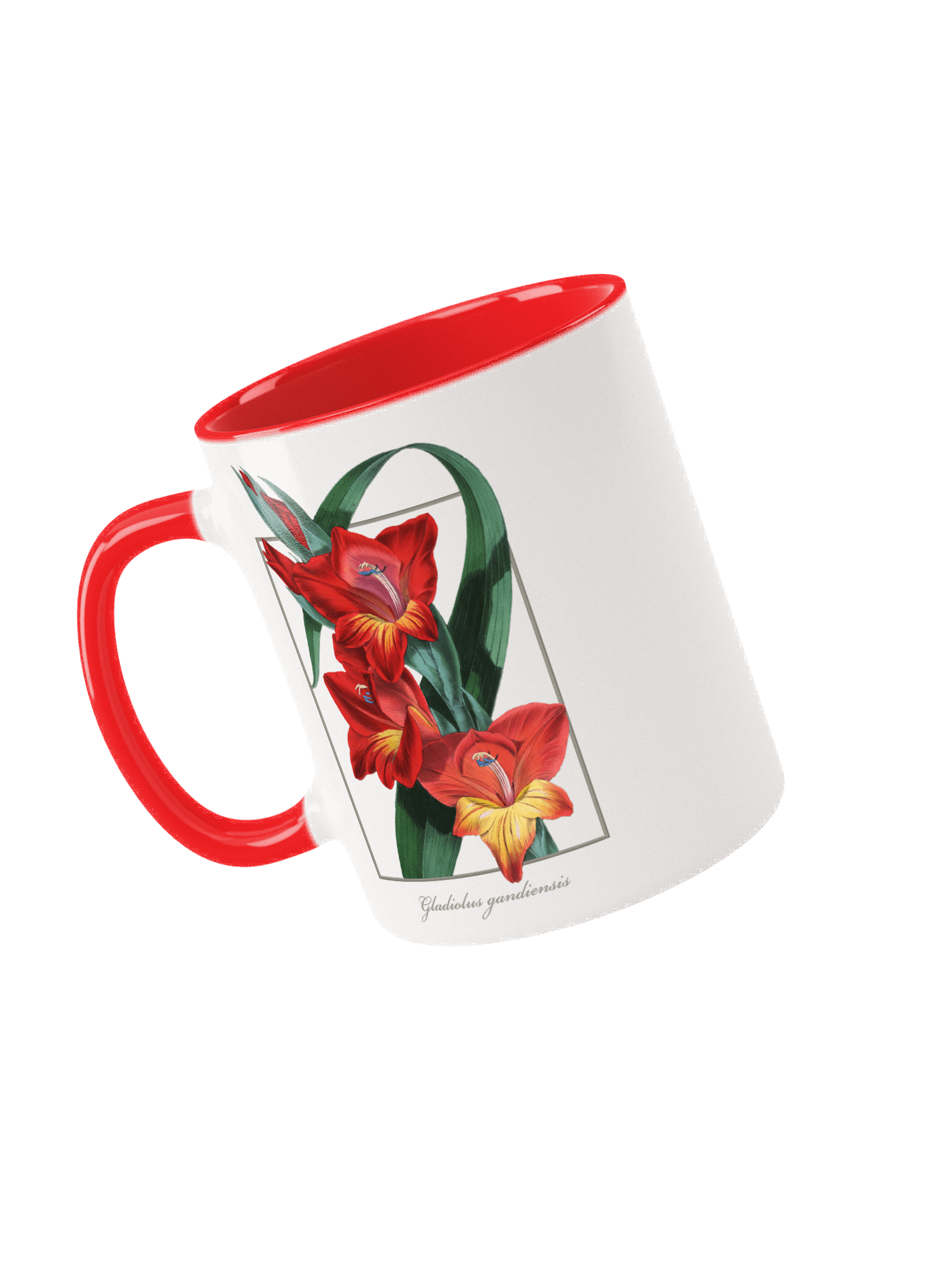 Gladiolus Gandiensis Flower - mug product image (5)