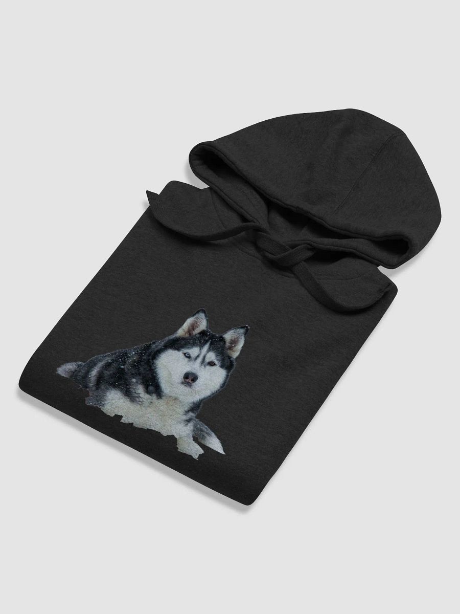 Majestic Siberian Husky with two different colored eyes in the snow. product image (5)