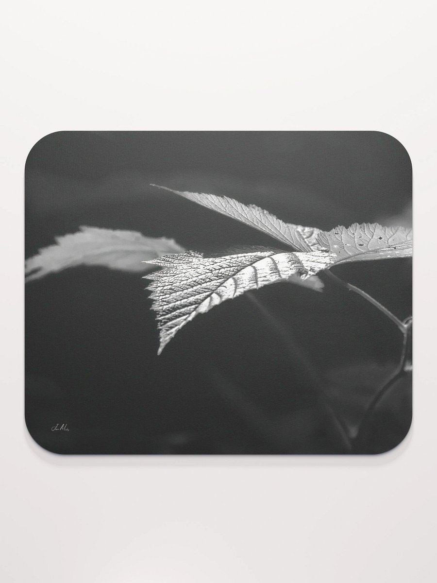 Lower Dungeness Trail Timber sun lighting Mouse Pad product image (2)
