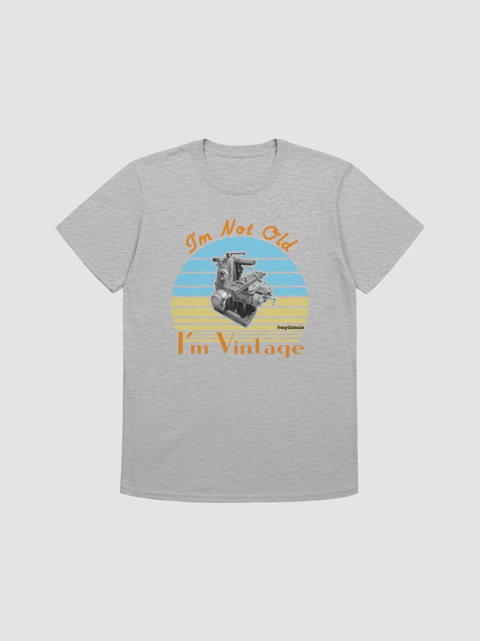 Softstyle T-Shirt (2H) product image (1)