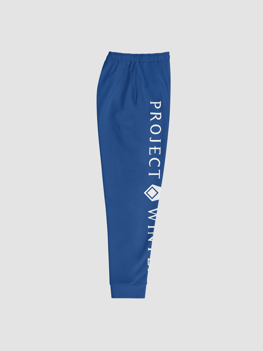 Project Winter Men's Joggers (Blue) product image (2)