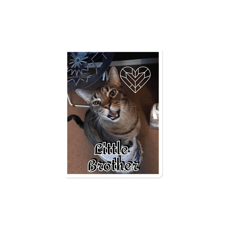 Little Brother magnet product image (2)