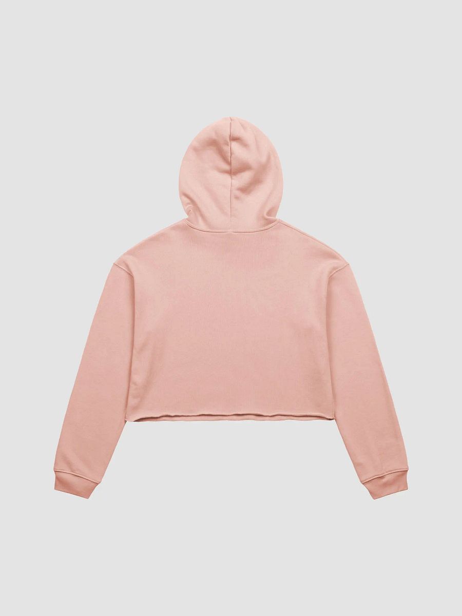 Drinking Around the World Disney: Taking Flights Without Leaving Ground Pink Crop Hoodie product image (2)