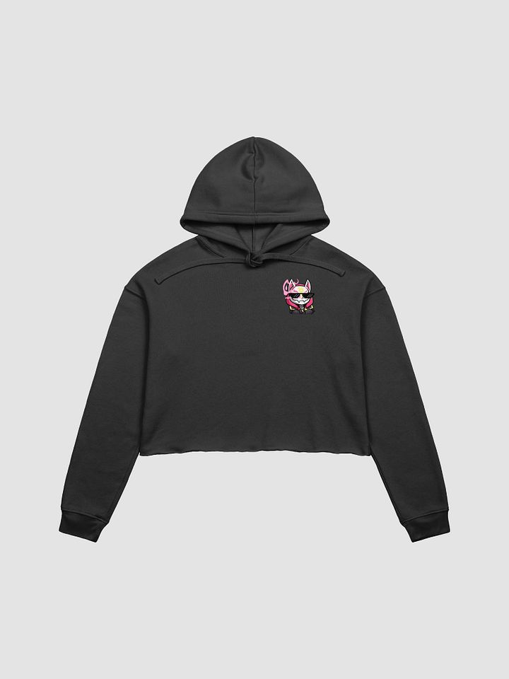 Outlawz Crop Hoodie product image (1)