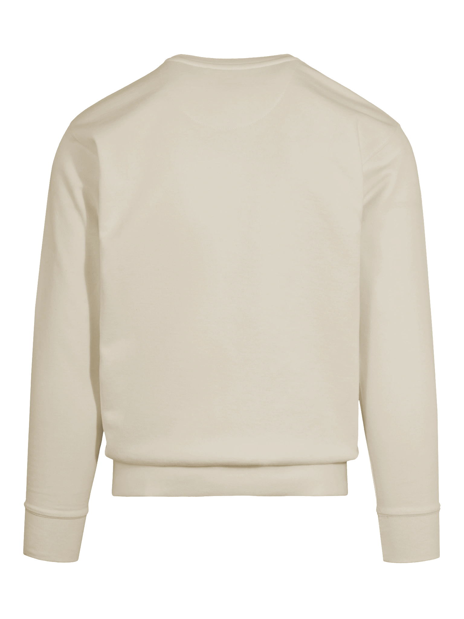 Retro Silver Surfin' Sweatshirt product image (11)
