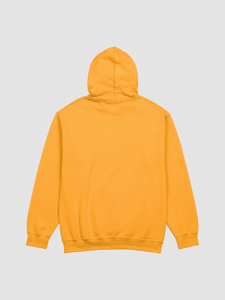 Delayed Not Denied Gildan Hoodie product image (14)