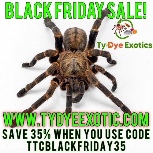 @ty_dye_exotics is having a MASSIVE Black Friday Sale! You save 35% on everything when you use my affiliate code 