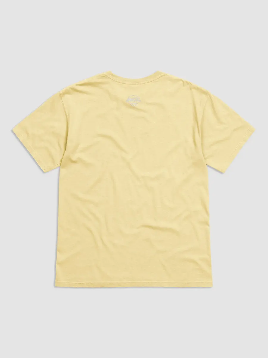 Tampa Bay Storm T-Shirt by Comfort Colors product image (6)