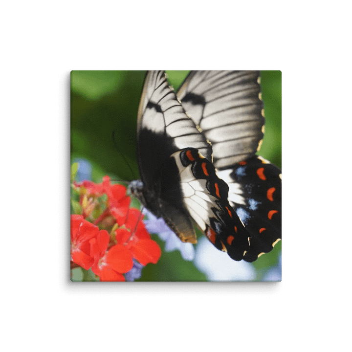 Butterfly on a Canvas product image (1)