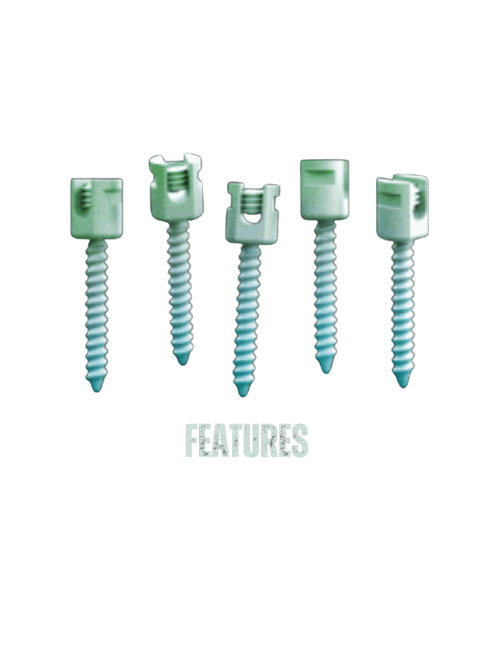 Features product image (1)