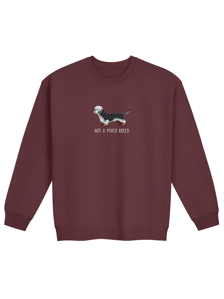 Not a Mixed Breed Sweatshirt (Embroidered) of a Dandie Dinmont Terrier(Pepper) product image (4)