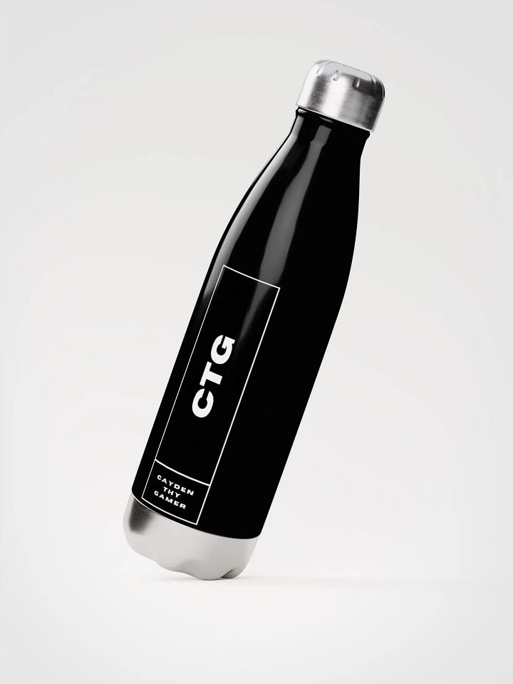 Stainless Steel Water Bottle | CTG product image (2)