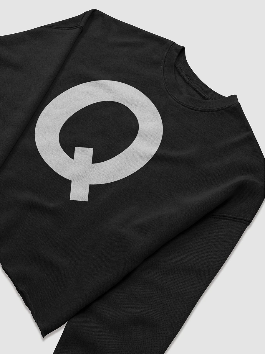 Q FLEECY CROP TOP product image (5)