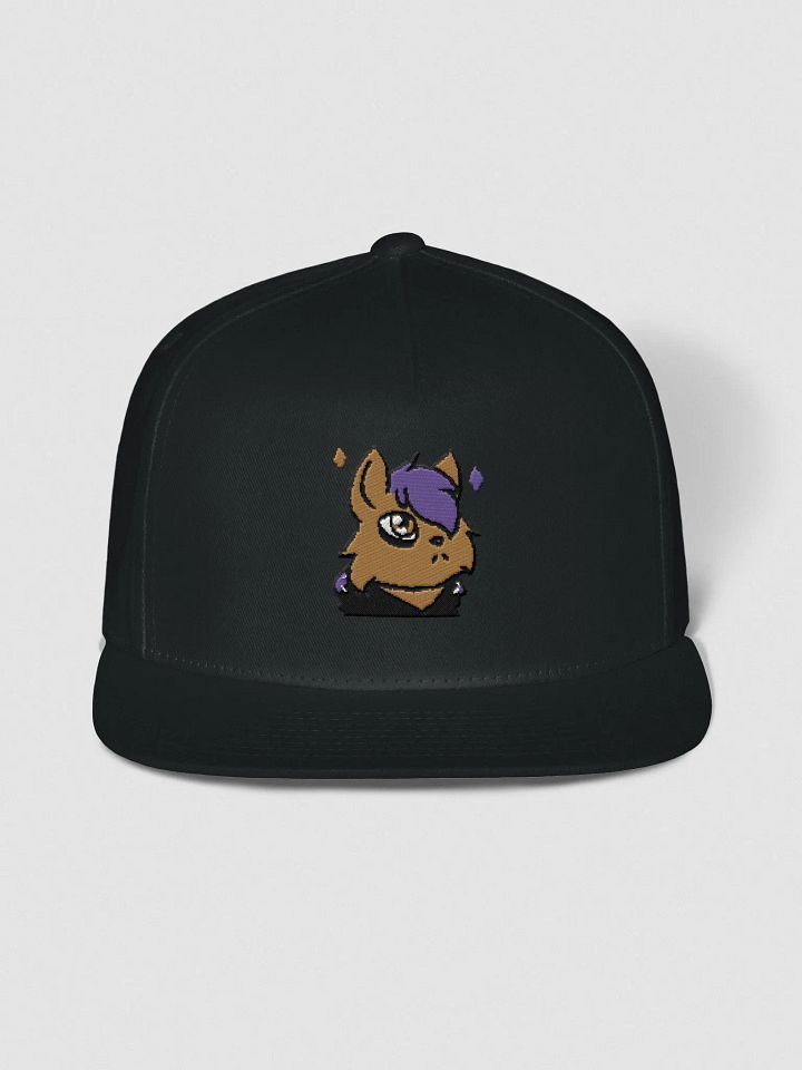 Embroidered Anxcat Snapback product image (1)
