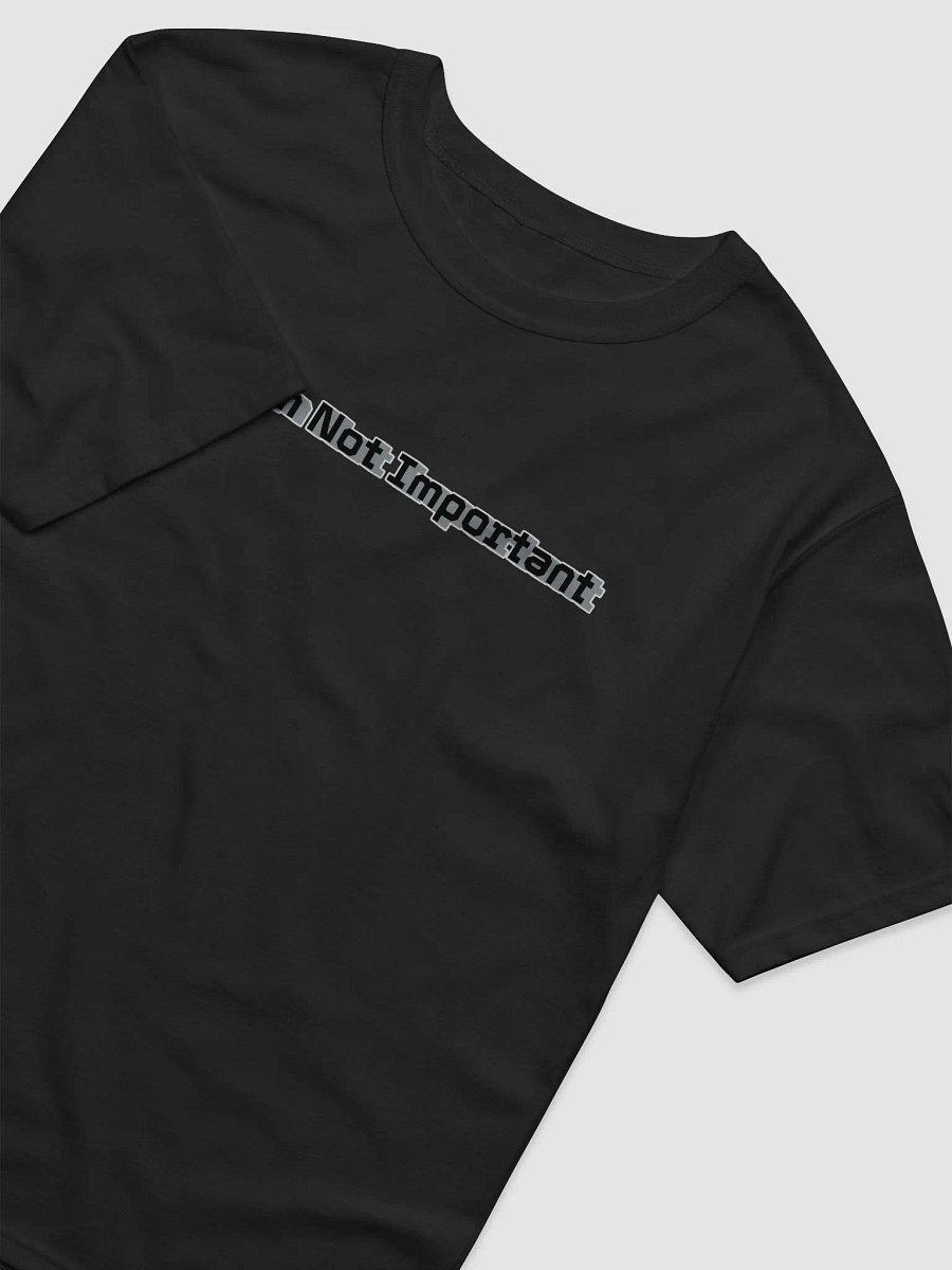 Relaxed-Fit T-Shirt - Mr I'm Not Important product image (4)