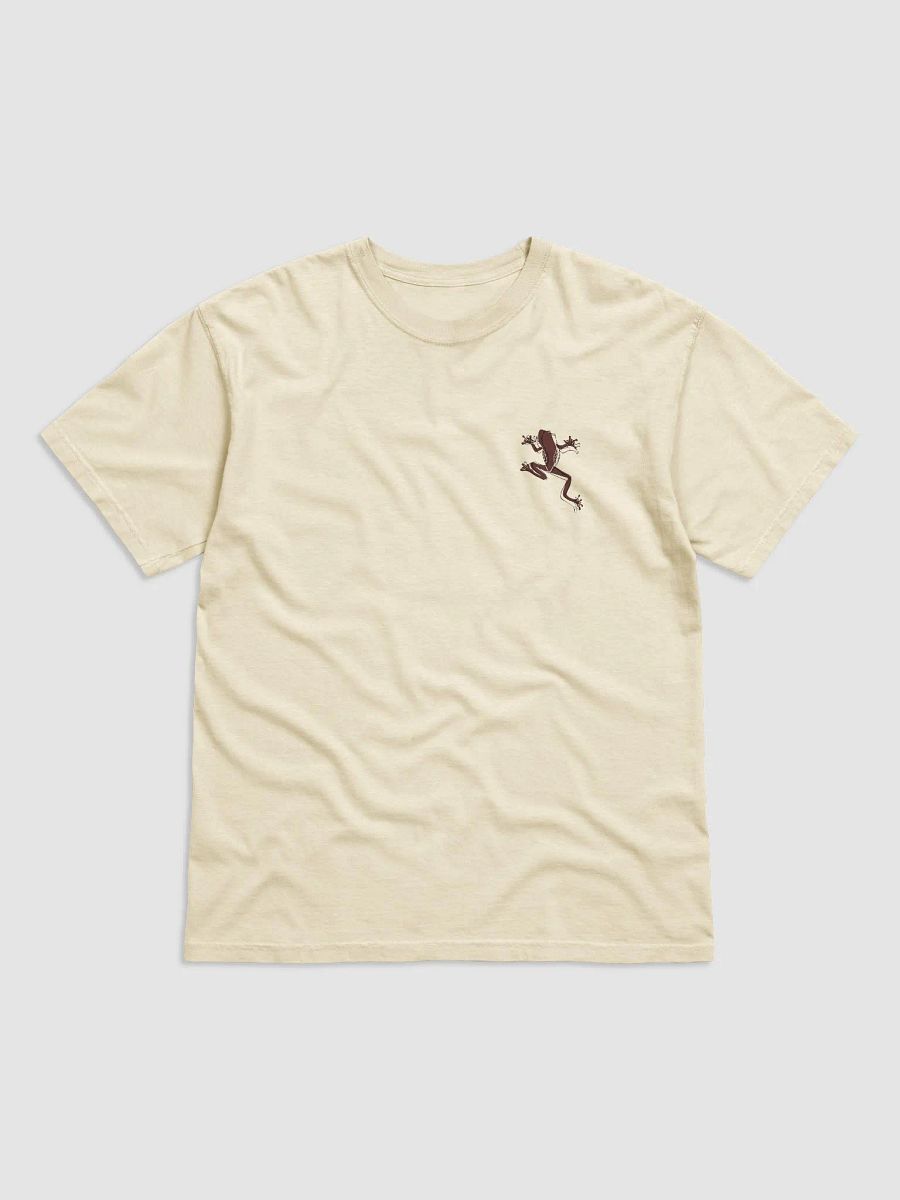 Inspirational frog tee product image (1)