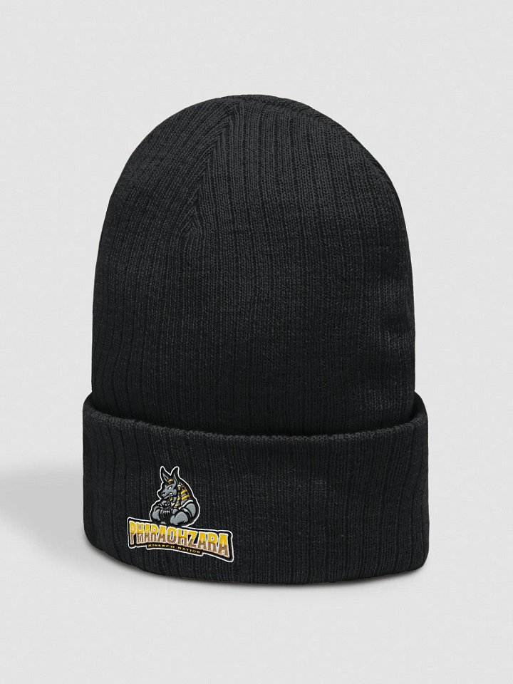winter hat product image (2)
