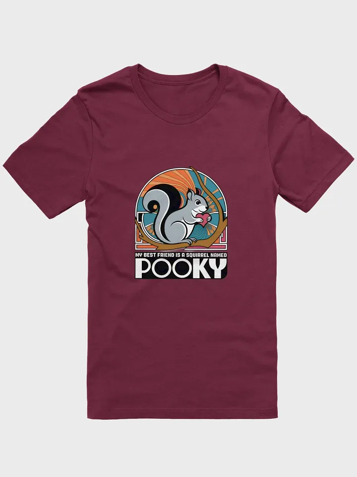 Super Soft and Flattering Tee: My Best Friend is a Squirrel Named Pooky product image (1)