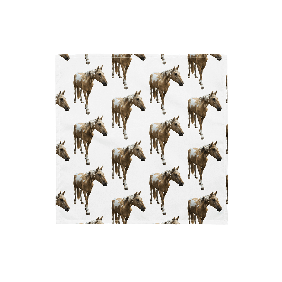 Touton Bandana product image (1)
