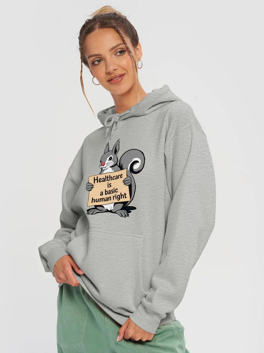Premium, super soft Hoodie: Healthcare is a basic human right, Pooky with Sign product image (3)