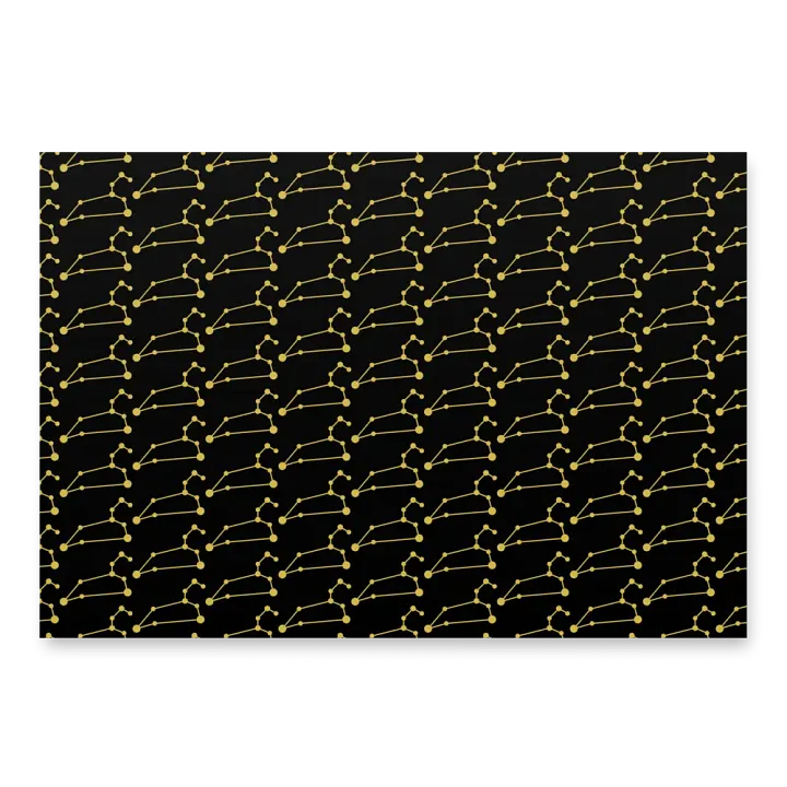 Leo Wrapping Paper Set product image (2)