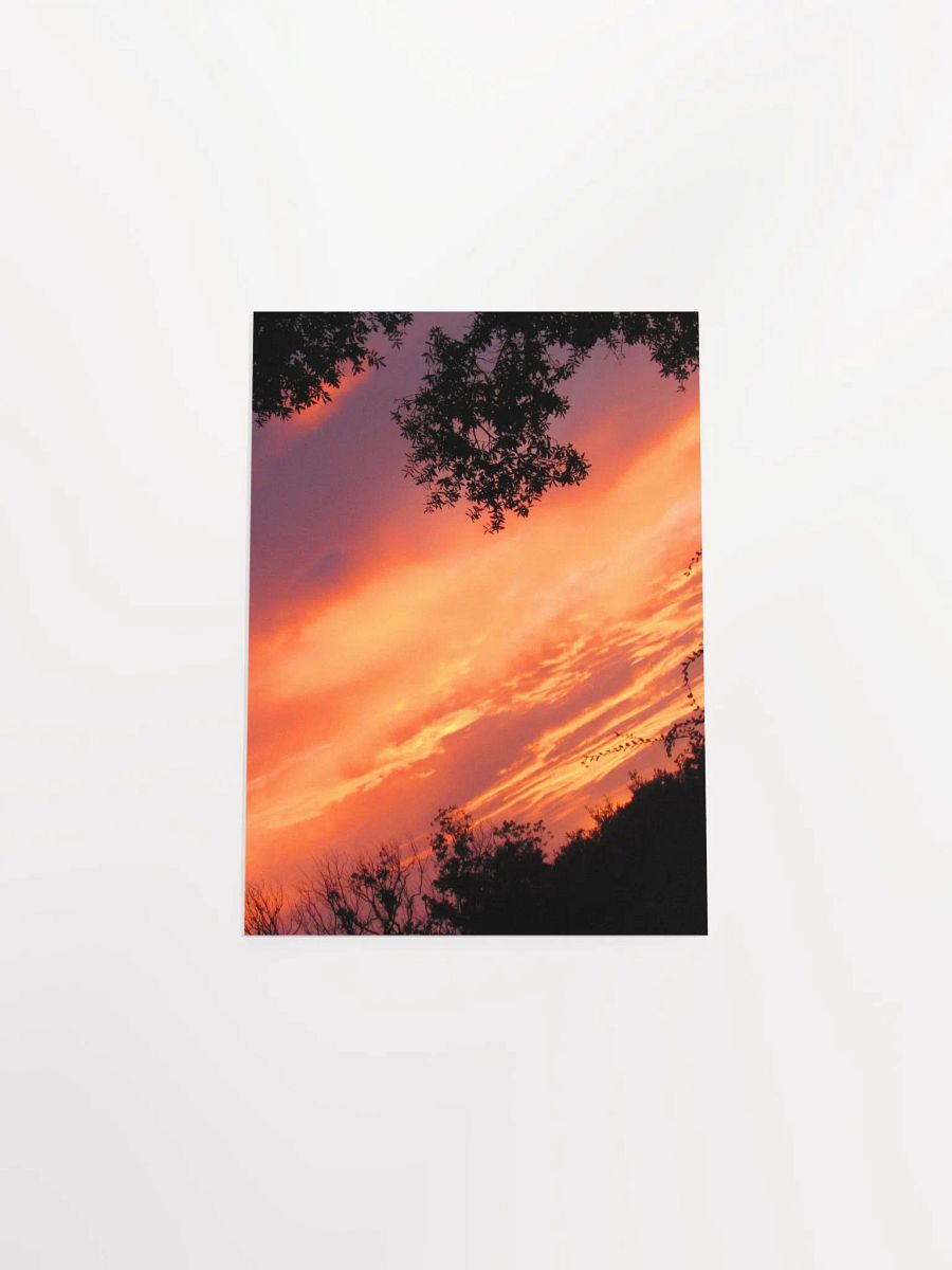 Florida Sunset 2 product image (53)