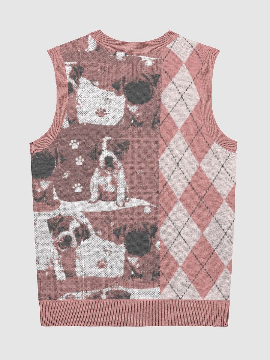 Argyle Paws Knitted V-Neck Vest product image (2)