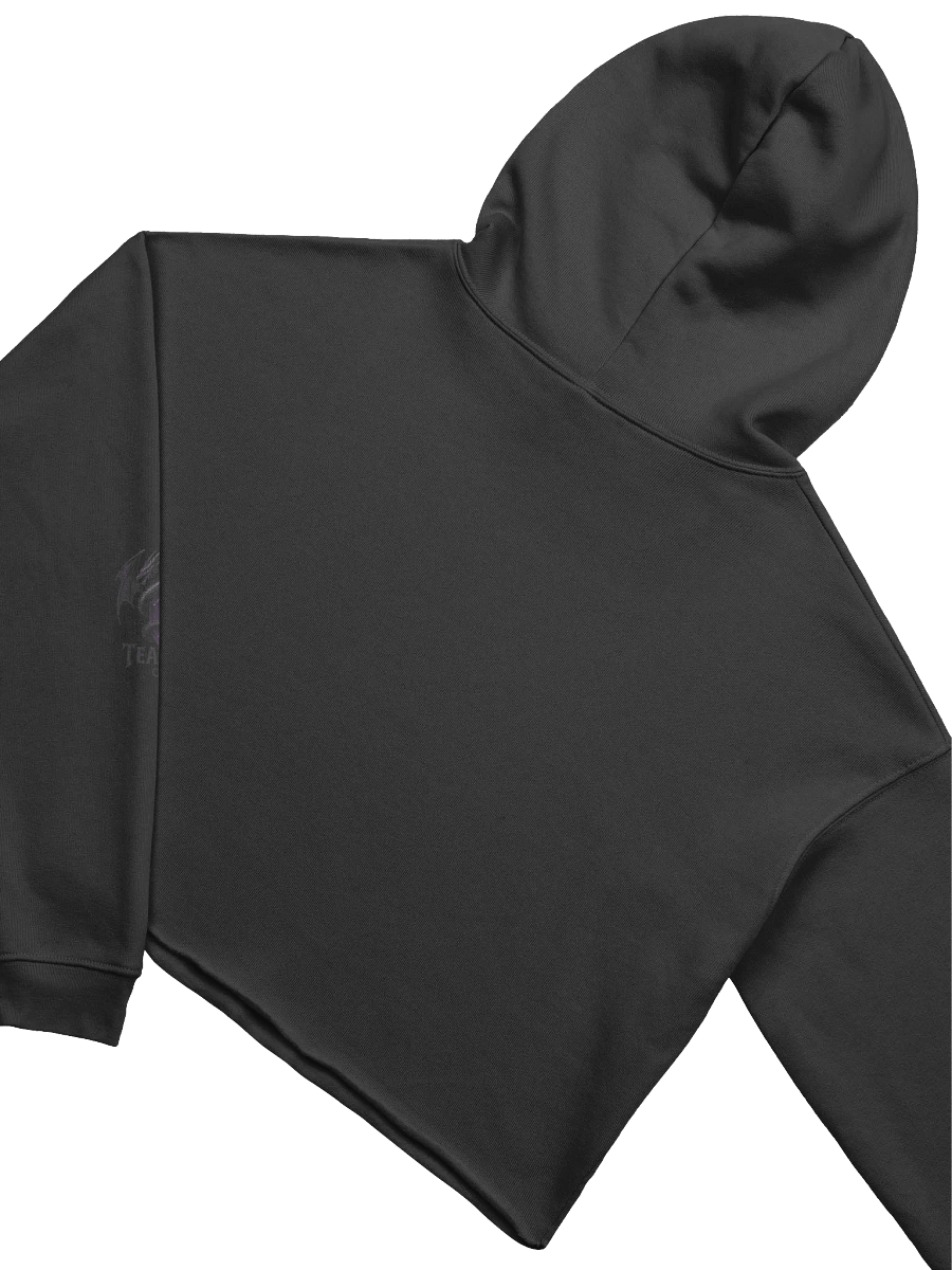 Team K V-4 Crop Hoodie product image (4)