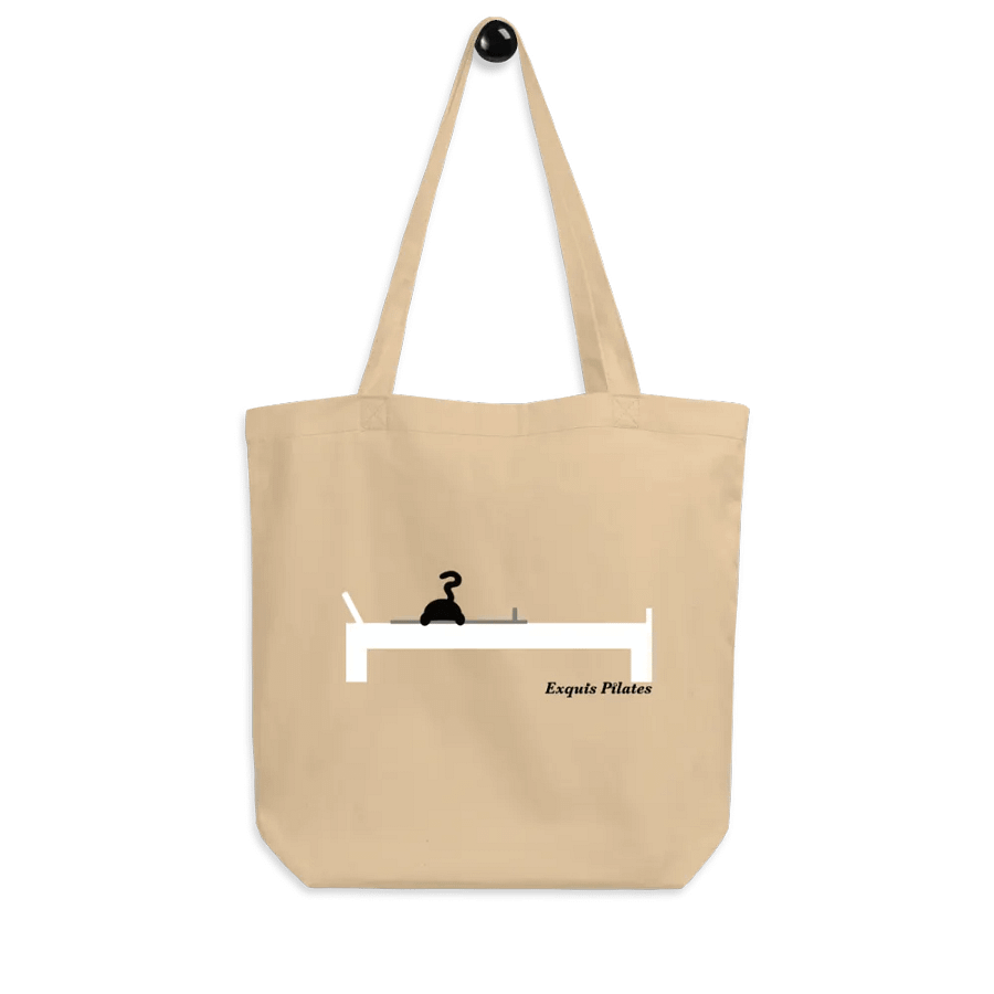 Cat on the Reformer Tote product image (6)