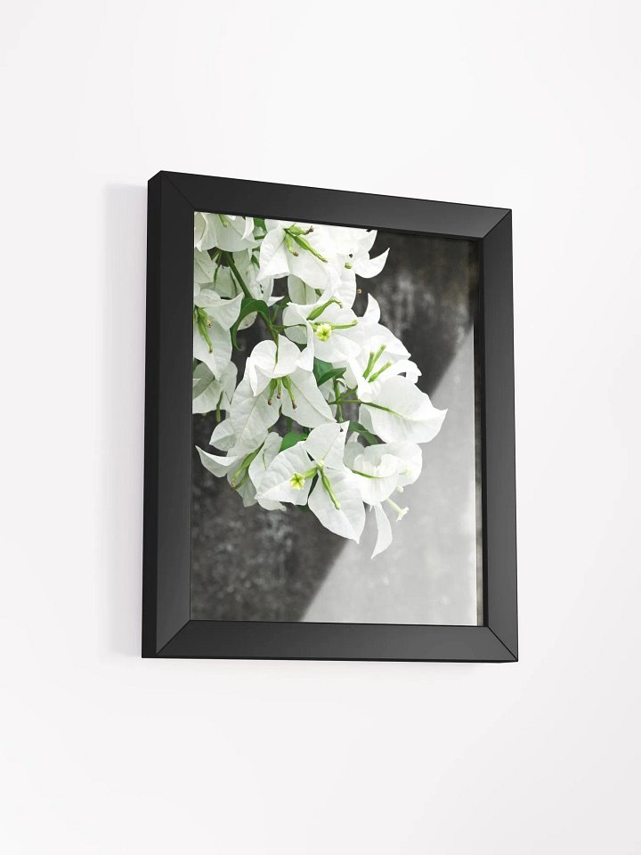 Bougainvillea - Framed art print product image (2)