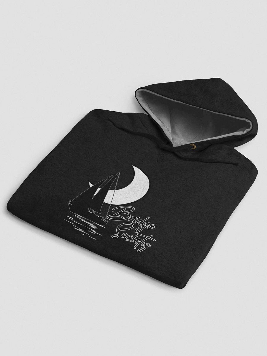 Over the Moon Champion Hoodie product image (6)