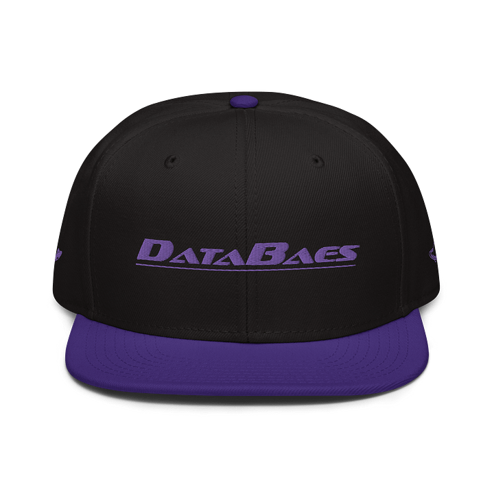 DataBaes Purple Thread Snapback product image (1)