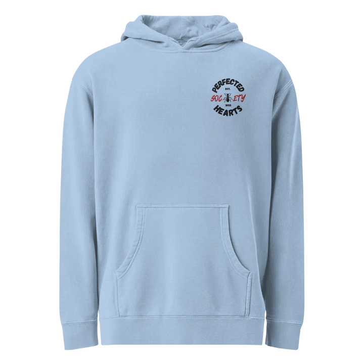 PHS Embroidered Hoodie (BLU) product image (1)