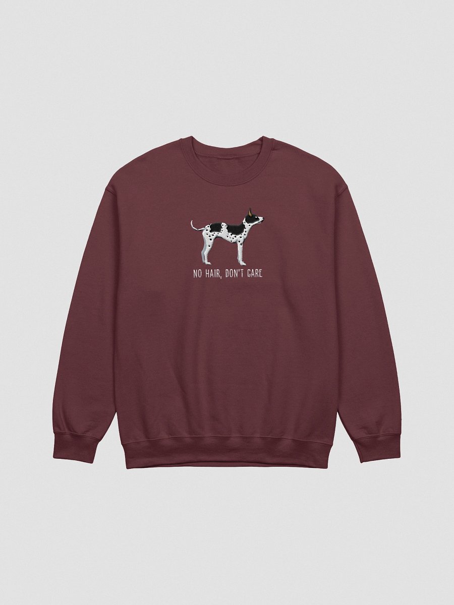 No Hair, Don't Care Sweatshirt (Embroidered) of an American Hairless Terrier(Black & White) product image (1)