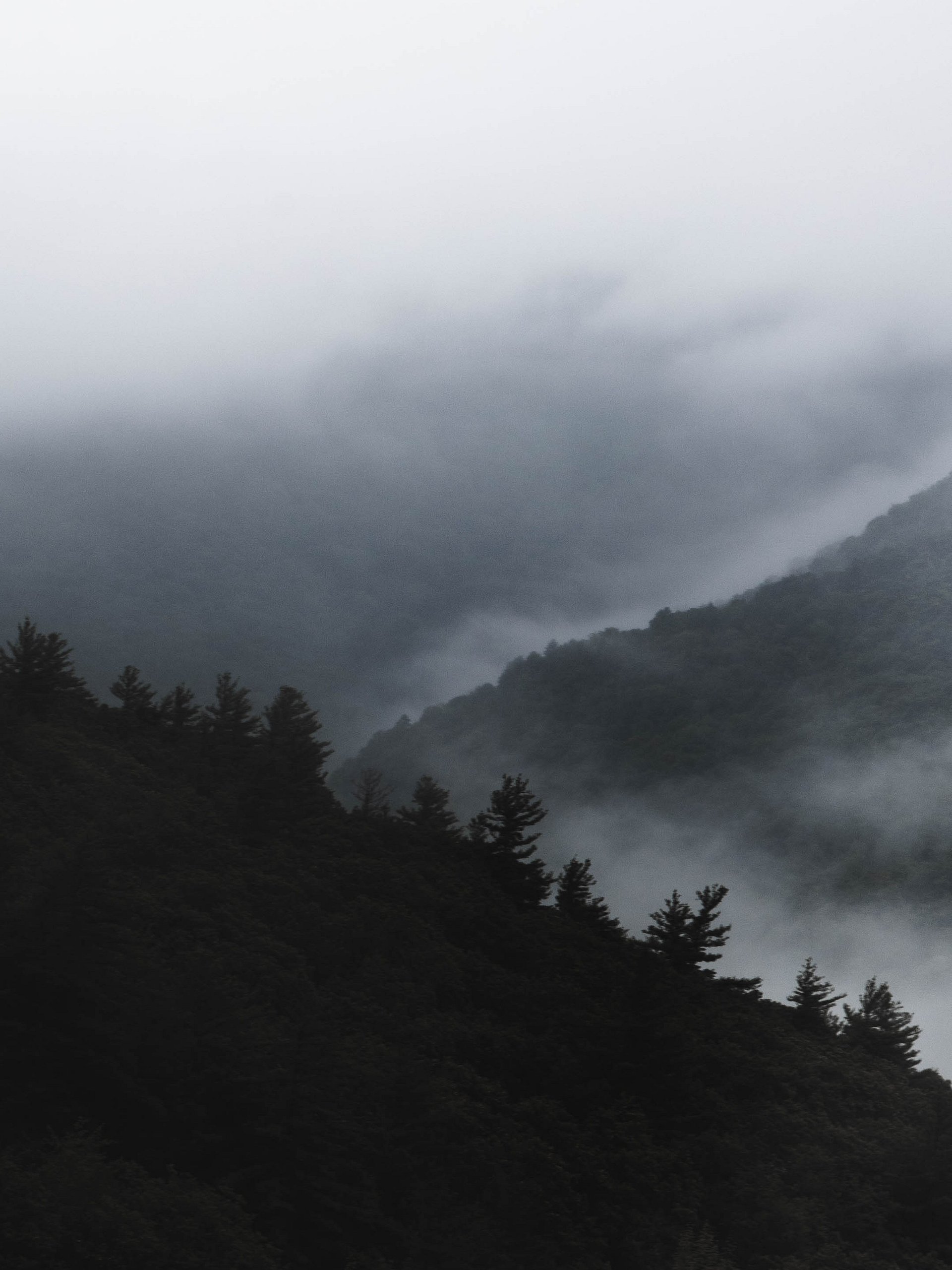 Brain Fog product image (1)