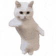 animated twitch emote product image (1)