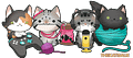TheKatIsALie