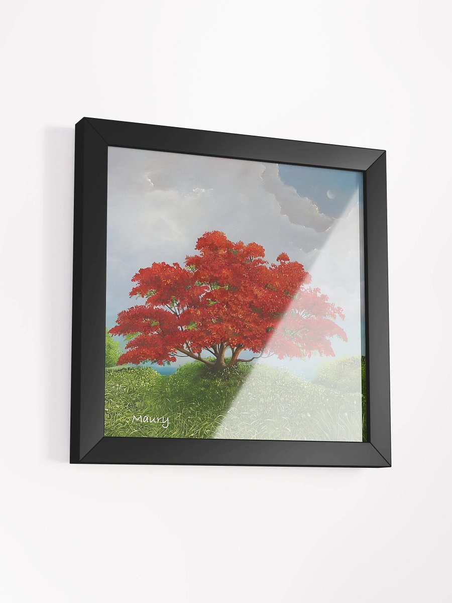 Red Foaboyant product image (8)