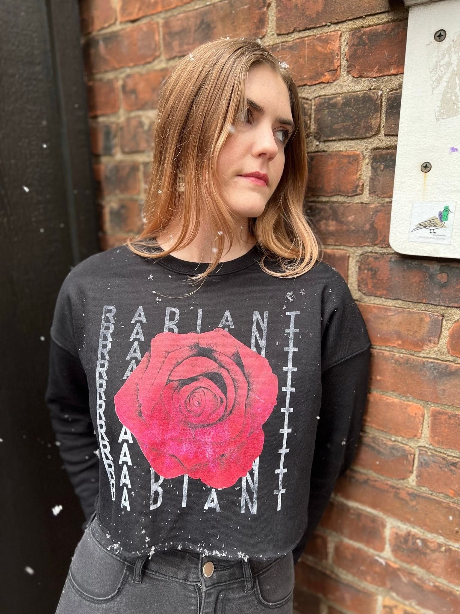 Radiant Grunge Cropped Sweatshirt product image (1)