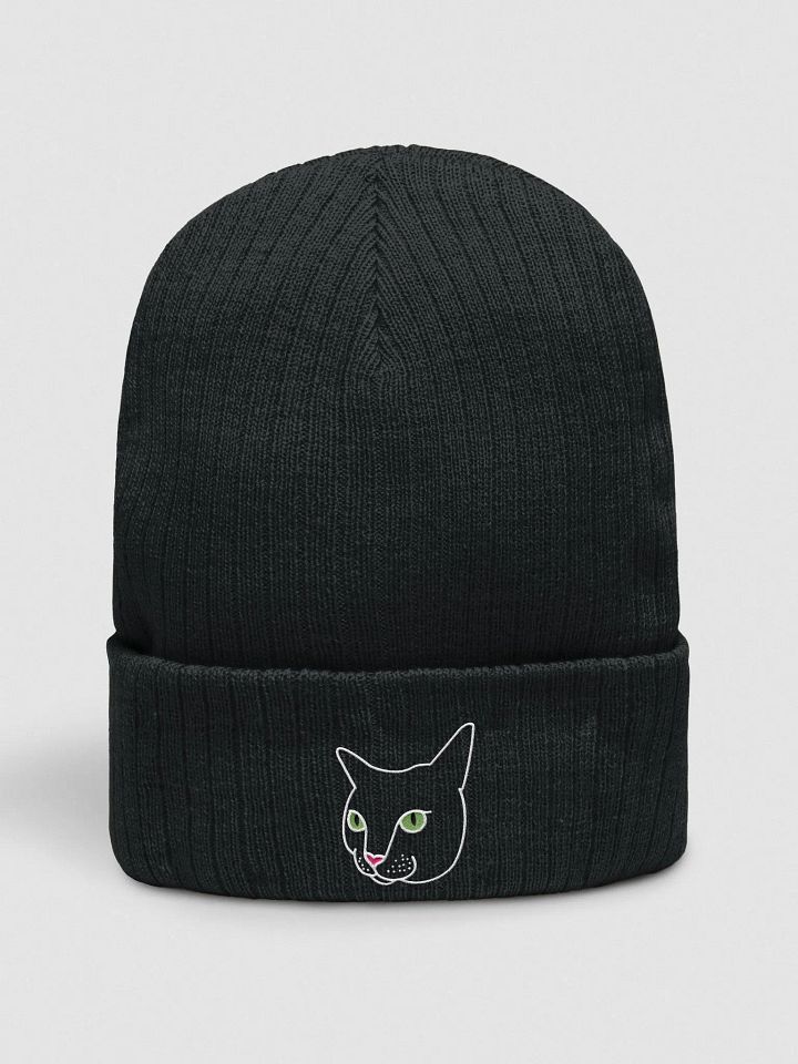 Ripley Beanie product image (1)