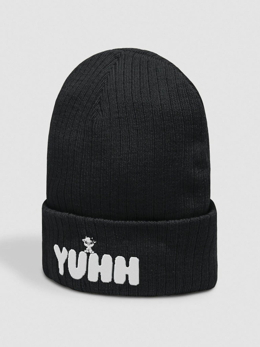 YUHH Beanie product image (2)