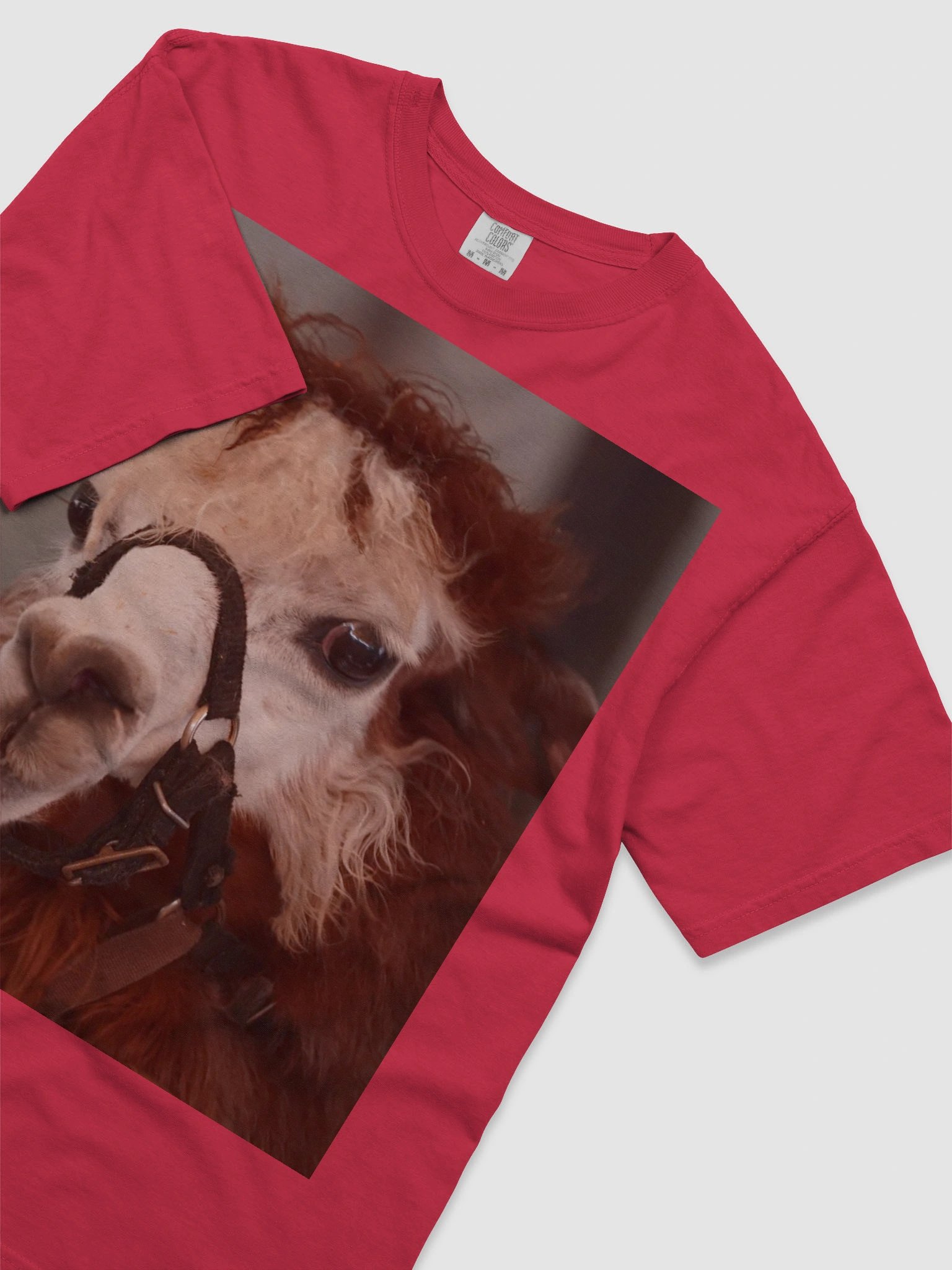Llama Love Comfort Tee product image (3)