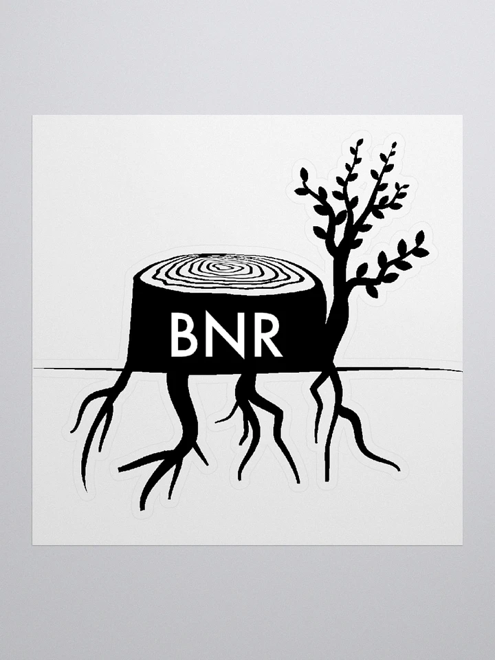BNR Sticker product image (1)