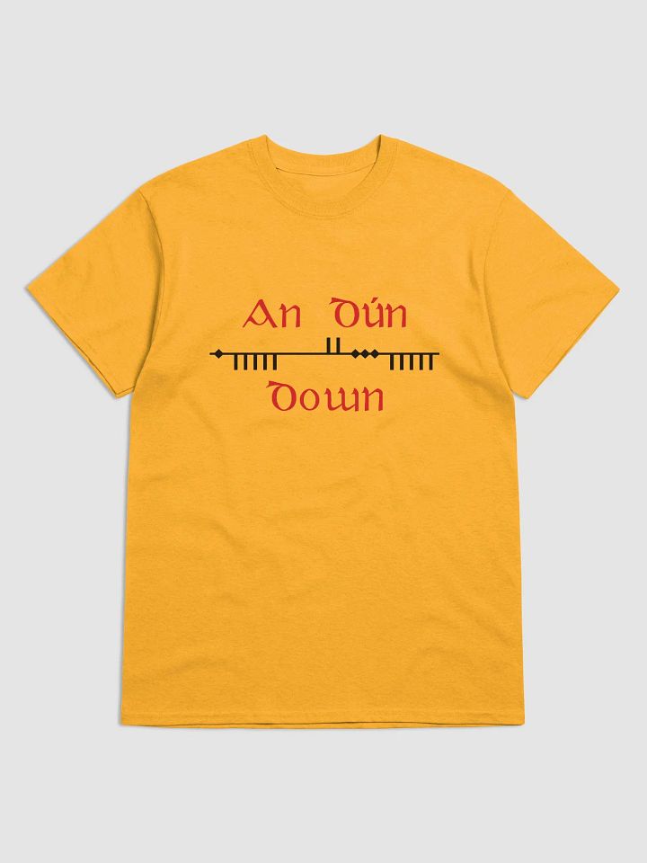 Down/An Dún Scholastic styleOgham , red and Black, Printed T-shirt product image (1)