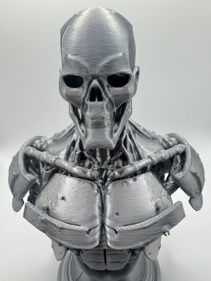Cyber dude product image (2)